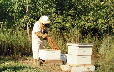 how our honey is made