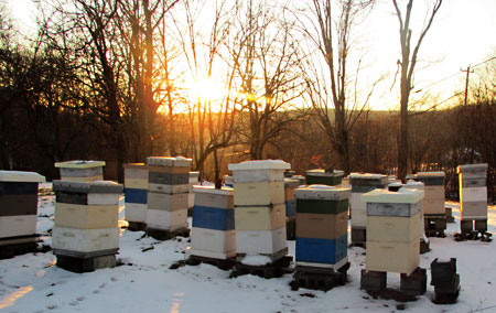 how our honey is made