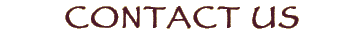 contact us